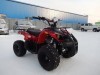  BUGGY ATV50 ICE BEAR (  ())